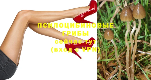 MDMA Premium VHQ Грязи